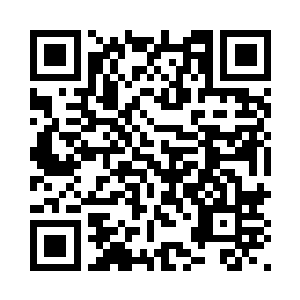 大卫看着满脸执拗和坚定的布拉德二维码生成