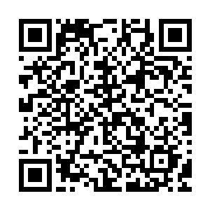 大厅之内坐着的那些修士此时将目光都望向了楼上的那些包厢二维码生成