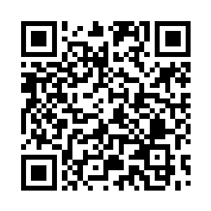 大厅的墙壁上瞬间出现密密麻麻的裂缝二维码生成