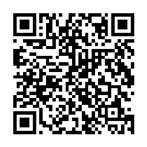 大厅里一个正在清点货物的文雅男子有点惊讶的看着流墨墨二维码生成