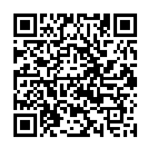 大司命和少司命就用奇怪目光看着旅火给叶青揪了下来二维码生成