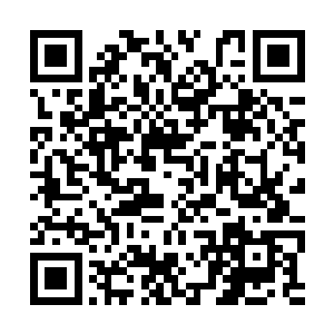 大名鼎鼎的星宿海左右使者现在见了自己也要称呼二维码生成