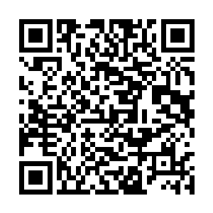 大后天就是叶律家族大少爷与二小姐的大婚日子了二维码生成