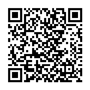 大周朝廷之所以会在阪崖这么荒僻的深山里设置马场二维码生成