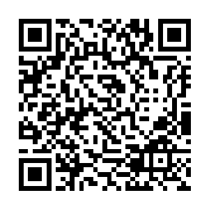 大周的分神强者炎苍对代离的杀机更甚于赢了这一战二维码生成