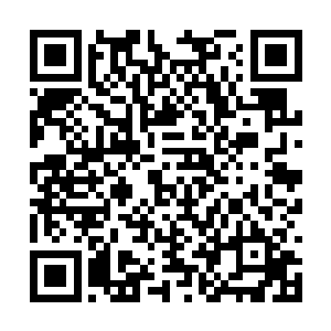 大哥……你说你当年怎么就将这个死丫头给收了房二维码生成