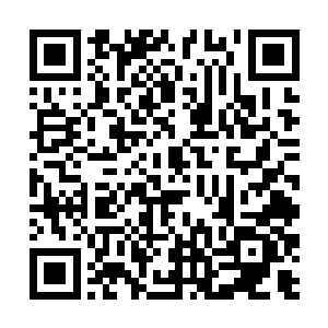 大哥率云集潜入皇城的仙家袭击了二叔在皇城的府邸二维码生成