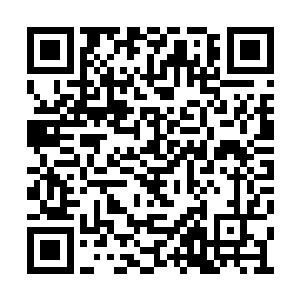 大哥的车子是忽然转向撞破护栏冲到对面的公路二维码生成