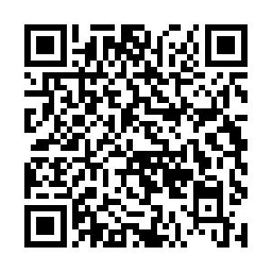 大哥让你去接管五营不止是因为你年纪小还不能请封二维码生成