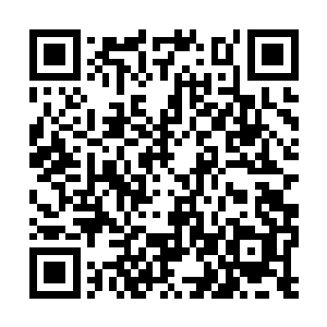 大哥说的是号称琴帝的秦子云和号称一指没的凌霄二维码生成