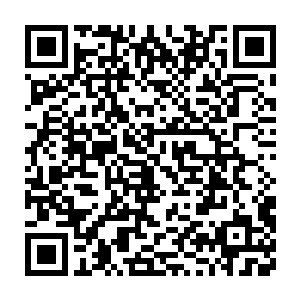 大哥难道想要看到你妹妹和妹夫一败涂地将来流落天涯无家可归么二维码生成