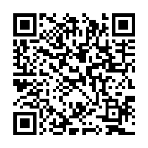 大喊着让我们至少将小白和雪女这两个小朋友带走二维码生成