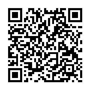 大圣之血对大圣之下来说是提升血脉力量的神物二维码生成