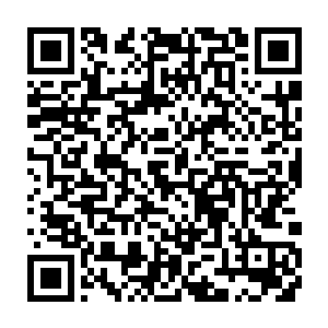 大圣域九重天初期……大圣域九重天中期……大圣域九重天后期……轰轰二维码生成