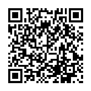 大圣域九重天的强大气息如同风暴一般席卷而出二维码生成