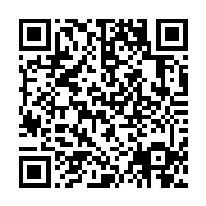 大圣杯+法穿鞋+6层杀人书+探索者的护臂+无用大棒+智慧药剂二维码生成