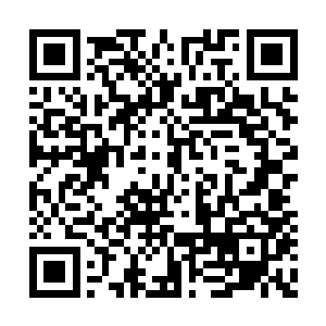 大圣皇还因此亲自和三界的继任者好一番讨论呢二维码生成