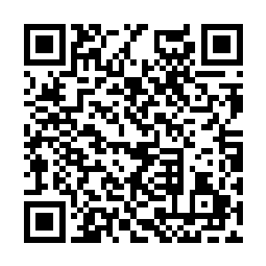 大地之势瞬间在一人三兽面前形成了一道真气墙壁二维码生成