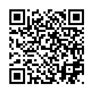 大地的震动声已经彻底的远离了他们二维码生成
