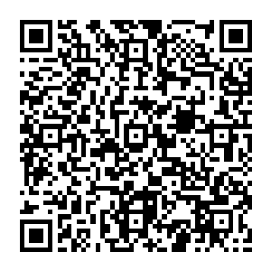 大地震动 轰隆之声不绝于耳 从遥远的天险山脉之处传來 让下方的五圳部落之人再次倒吸一口凉气二维码生成