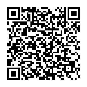 大地骑士及以上级别的骑士在这一刻虽然在元素潮汐之中保持住了定力二维码生成