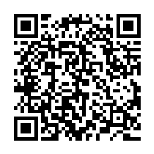 大型木头枪托把整个后坐力非常均匀的分散到贴合肩部的弧线上二维码生成