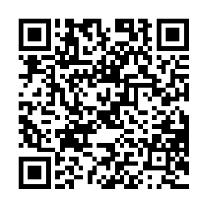 大堂里这些平日里比男人还要精明干练几分的白骨精们二维码生成