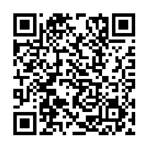 大夏国的有资格进这个大殿的文臣武将几乎都来了二维码生成