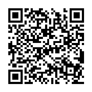 大夏朝也不乏有贵女嫁给海外的番人大商人做妻子二维码生成