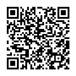 大夏王朝的老祖宗等其他修士皆是在一瞬间内被吸光了力量二维码生成