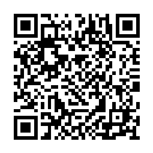 大夏的君主跟百官们开了一个亢长却欢快的会议二维码生成