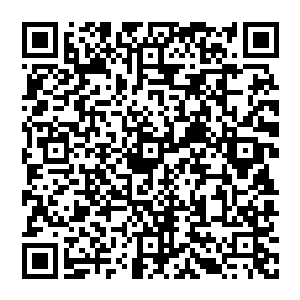 大多数人年纪大了不适合做暗卫的时候虽然有王府里供养着但是基本上也年纪不小了大半辈子算是毁了二维码生成