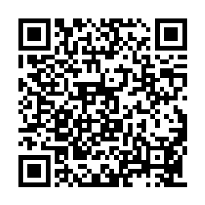 大多数人根本不会在比较成就的时候把简列进去二维码生成