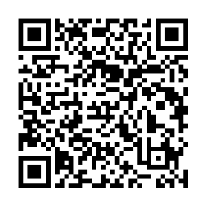 大多数人都也是在各种领主和伪贵族的严苛统治下生活二维码生成