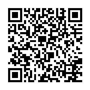 大多数人都只是出于下意识地朝街道的方向看了过去二维码生成