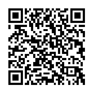 大多数宾客还是都在白色遮阳篷下的草坪园林上二维码生成