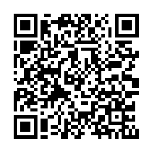 大多数尸体上都是在身上带着些零散的子弹而已二维码生成
