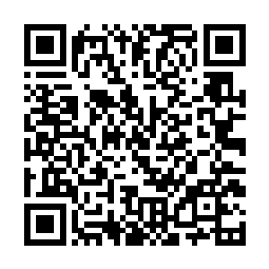 大多数时候都是前一届的几个高手视线约个地方比试二维码生成