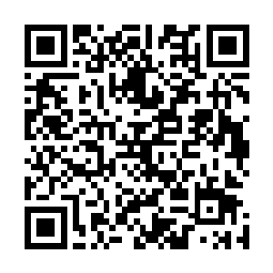 大多热衷于飞行的老板企业家还是在小型螺旋桨飞机的档次二维码生成