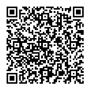 大多被长辈带着见完人又不需要参与接下来讨论的孩子们都会被大人们随手打发到这边来消磨时光二维码生成