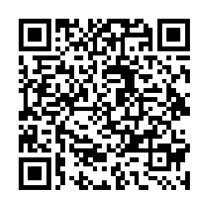 大多都是因为家庭在c城无法抽身所以才无奈回归二维码生成