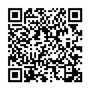 大大小小的学生和老师们隐约分成三个阵营在一旁围观二维码生成