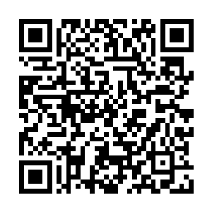 大孙子和大孙女根本就不需要有任何操心的地方二维码生成