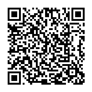 大孩子眼看着那个漂亮的少年人从斗篷里拿出来一柄一尺多长的短剑二维码生成