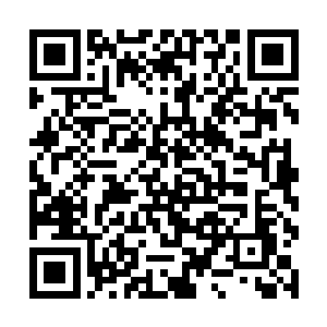 大宗师级巅峰强者也不是那种可以随意拿捏的软柿子二维码生成