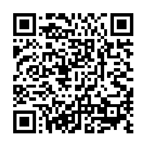 大官庄上网罗一些江湖上的好手看家护院也不是难得的景儿二维码生成