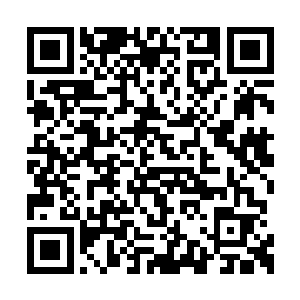 大家之所以为遗传工程实验室的壮大而兴高采烈二维码生成