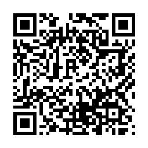 大家也可以好聚好散的……没有人愿意这样拼命一辈子二维码生成