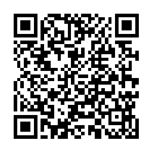 大家也就一时没能相信真是见到了本人近距离地站在眼前二维码生成