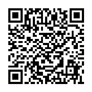 大家以为最后的下场就是被这些可恶的角狼咬死二维码生成